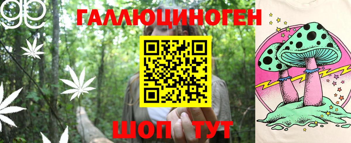 Галлюциногенные грибы Psilocybine cubensis  Вход с VPN  Мурино 