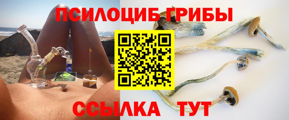 Псилоцибиновые грибы прущие грибы Мурино